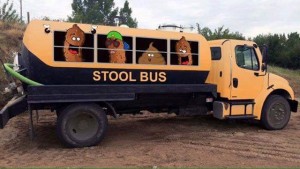 stool bus